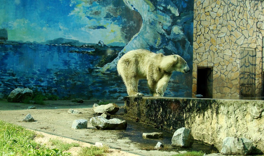Zoo w Nyíregyházie